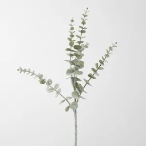 Flocked Eucalyptus Spray 74CM Grey by Florabelle Living, a Plants for sale on Style Sourcebook