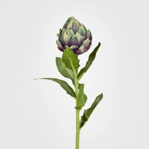 Single Artichoke Plum 58CM by Florabelle Living, a Plants for sale on Style Sourcebook