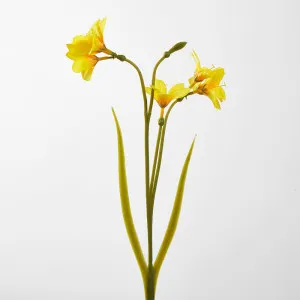Yellow Daffodil Spray 50cm by Florabelle Living, a Plants for sale on Style Sourcebook