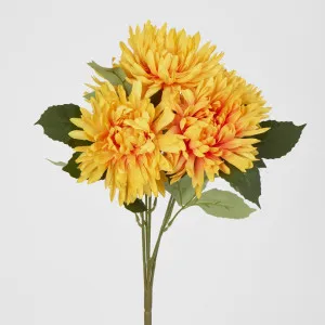 Yellow Mum Bush x 5 46cm by Florabelle Living, a Plants for sale on Style Sourcebook