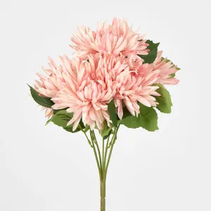 Pink Mum Bush x 5 46cm by Florabelle Living, a Plants for sale on Style Sourcebook