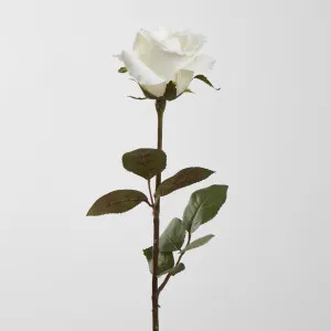 Ecuadorian Rose Stem White by Florabelle Living, a Plants for sale on Style Sourcebook