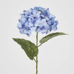 68cm Domed Hydrangea by Florabelle Living, a Plants for sale on Style Sourcebook