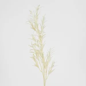 Beige Podocarpus Spray by Florabelle Living, a Plants for sale on Style Sourcebook