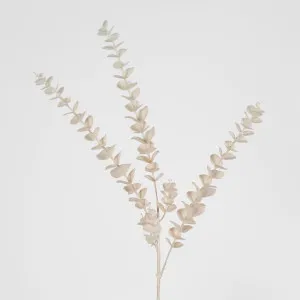 Light Pink Eucalypus Spray by Florabelle Living, a Plants for sale on Style Sourcebook
