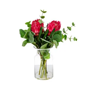 Red Protea in Toby Vase Sml by Florabelle Living, a Plants for sale on Style Sourcebook