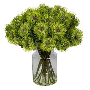 Pincushion Natives in Glass Vase by Florabelle Living, a Plants for sale on Style Sourcebook
