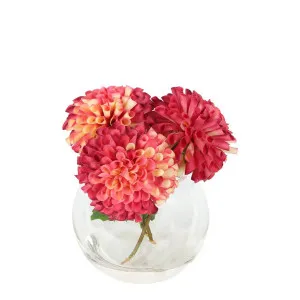 Plum Dahlia Delight Small Arangement by Florabelle Living, a Plants for sale on Style Sourcebook