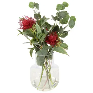 Dawn Red Native Arrangement by Florabelle Living, a Plants for sale on Style Sourcebook