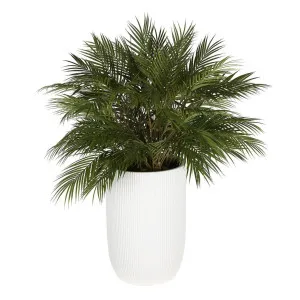 Bamboo Leaf Cluster Large Planter by Florabelle Living, a Plants for sale on Style Sourcebook