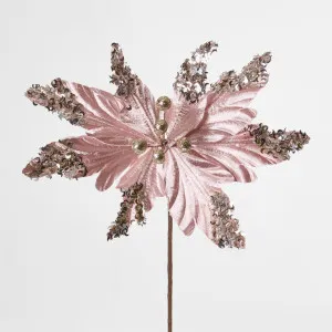 Poinsettia by Florabelle Living, a Plants for sale on Style Sourcebook
