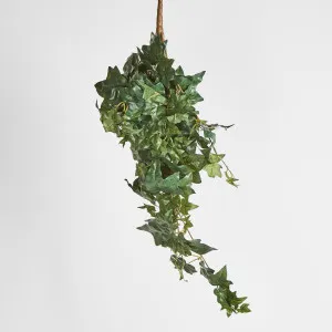 Hanging Green Ivy Bush x 9 by Florabelle Living, a Plants for sale on Style Sourcebook