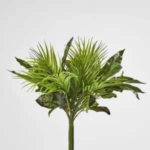 Dracaena Palm Bundle by Florabelle Living, a Plants for sale on Style Sourcebook