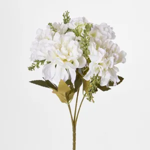 White Marigold Bush x 5 by Florabelle Living, a Plants for sale on Style Sourcebook