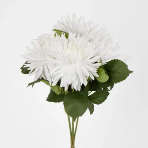 White Mum Bush x 5 46cm by Florabelle Living, a Plants for sale on Style Sourcebook