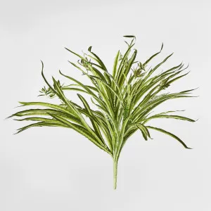Green White Spider Plant with 79 Leaves Real Touch by Florabelle Living, a Plants for sale on Style Sourcebook