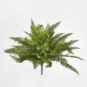 Leather Fern Bush W/34 Leaves by Florabelle Living, a Plants for sale on Style Sourcebook