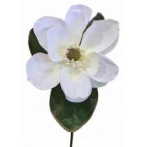 Magnolia Stem with 3 Leaves 74CM White by Florabelle Living, a Plants for sale on Style Sourcebook