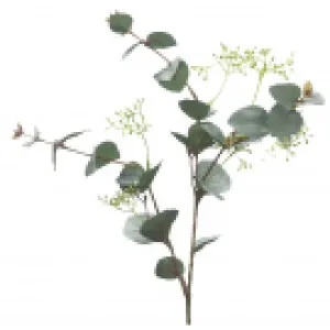 Grey Green Eucalyptus leaf Spray with seed by Florabelle Living, a Plants for sale on Style Sourcebook