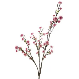 Cherry Blossom 1.45m Pink by Florabelle Living, a Plants for sale on Style Sourcebook