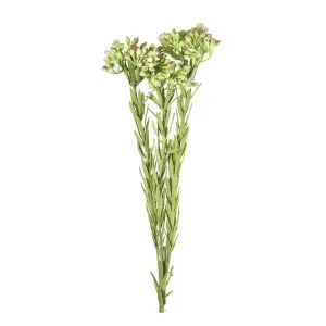 Berries Spray 56cm Green by Florabelle Living, a Plants for sale on Style Sourcebook