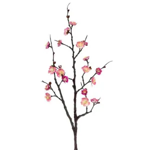 Plum Blossom Spray 85cm Pink by Florabelle Living, a Plants for sale on Style Sourcebook