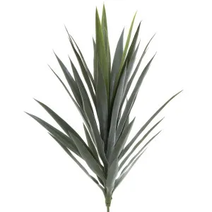 Yucca Head Green 78cm by Florabelle Living, a Plants for sale on Style Sourcebook