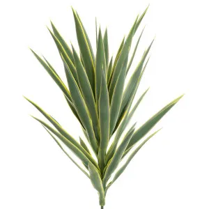 Yucca Head Green 78cm by Florabelle Living, a Plants for sale on Style Sourcebook