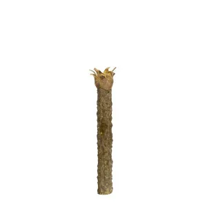 Fibreglass Rostrata Stem 40cm by Florabelle Living, a Plants for sale on Style Sourcebook