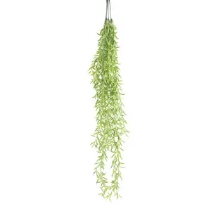 Fern Baby 70cm by Florabelle Living, a Plants for sale on Style Sourcebook