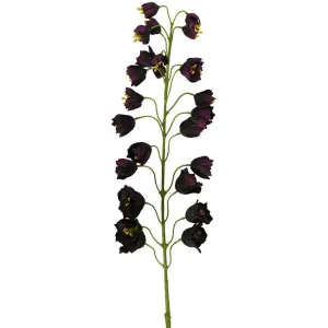 Fritteiaria Spray 112cm Purple by Florabelle Living, a Plants for sale on Style Sourcebook