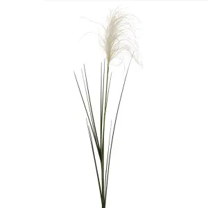 Reed Grass Spray 74cm by Florabelle Living, a Plants for sale on Style Sourcebook