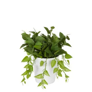 Leaves in White Plastic Pot 35cm by Florabelle Living, a Plants for sale on Style Sourcebook