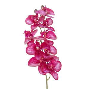Orchid Stem 85cm Red by Florabelle Living, a Plants for sale on Style Sourcebook