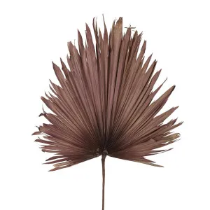 Preserved Palm Leaf Pink Large by Florabelle Living, a Plants for sale on Style Sourcebook