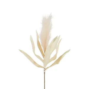 Feather Pampas Stem 87cm Cream by Florabelle Living, a Plants for sale on Style Sourcebook