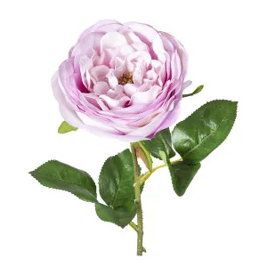 Rose Spray 46cm Light Pink by Florabelle Living, a Plants for sale on Style Sourcebook