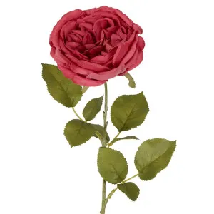 Rose Single Stem 68cm Pink by Florabelle Living, a Plants for sale on Style Sourcebook