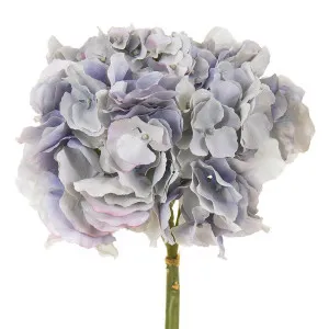 Hydrangea 50cm Light Blue by Florabelle Living, a Plants for sale on Style Sourcebook