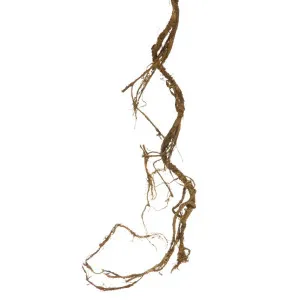Twig Vine Garland 95cm Brown by Florabelle Living, a Plants for sale on Style Sourcebook