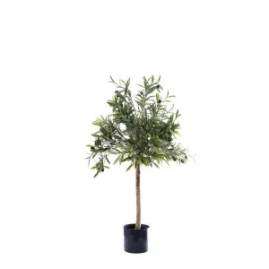 Olive Green Topping Tree 70cm by Florabelle Living, a Plants for sale on Style Sourcebook