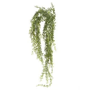 Senecio Succulent Hanging 90cm by Florabelle Living, a Plants for sale on Style Sourcebook