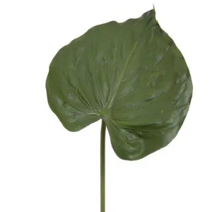 Alocasia Leaf 90cm Green by Florabelle Living, a Plants for sale on Style Sourcebook