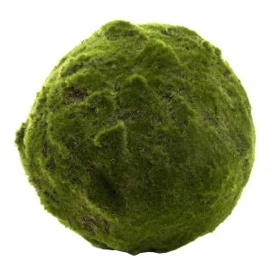 Moss Ball 33cm by Florabelle Living, a Plants for sale on Style Sourcebook