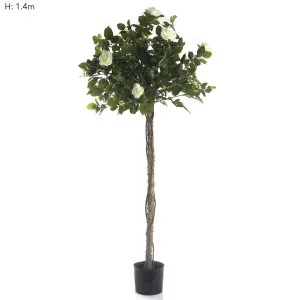 Rose Topiary Light White 1.4m by Florabelle Living, a Plants for sale on Style Sourcebook