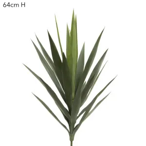 Yucca Head Green 64cm by Florabelle Living, a Plants for sale on Style Sourcebook