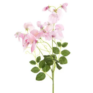 Sweetpea Spray 70cm Pink by Florabelle Living, a Plants for sale on Style Sourcebook