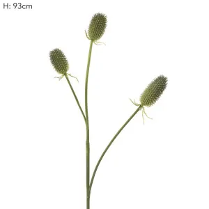Thistle Spray 93cm Green by Florabelle Living, a Plants for sale on Style Sourcebook