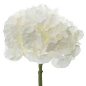 Hydrangea 50cm Snow White by Florabelle Living, a Plants for sale on Style Sourcebook