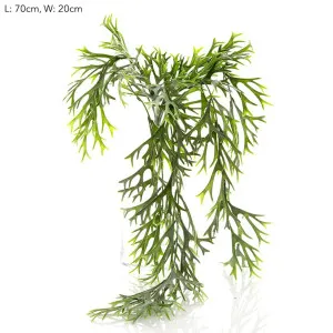 Staghorn Leaves Hanging Vine 70cm by Florabelle Living, a Plants for sale on Style Sourcebook